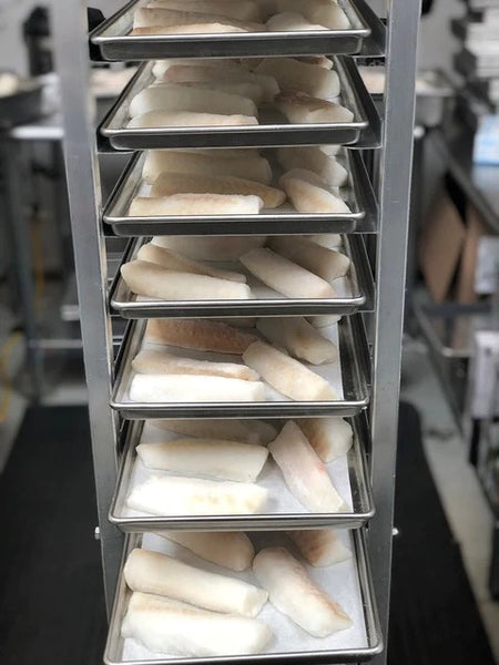 Freeze dried Cod fillets - COMING SOON