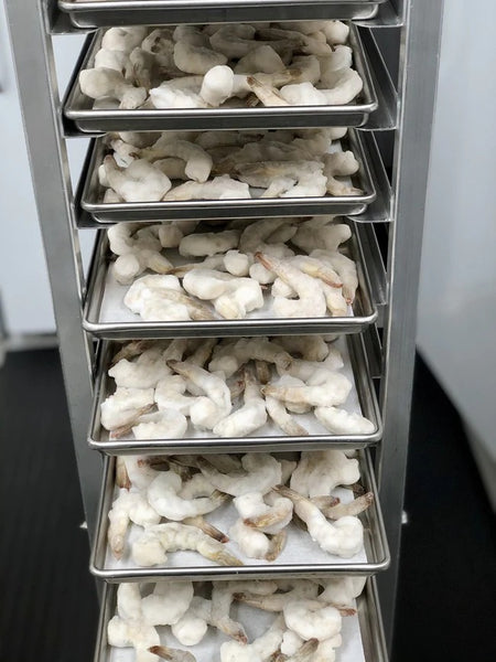 Freeze dried shrimp - COMING SOON